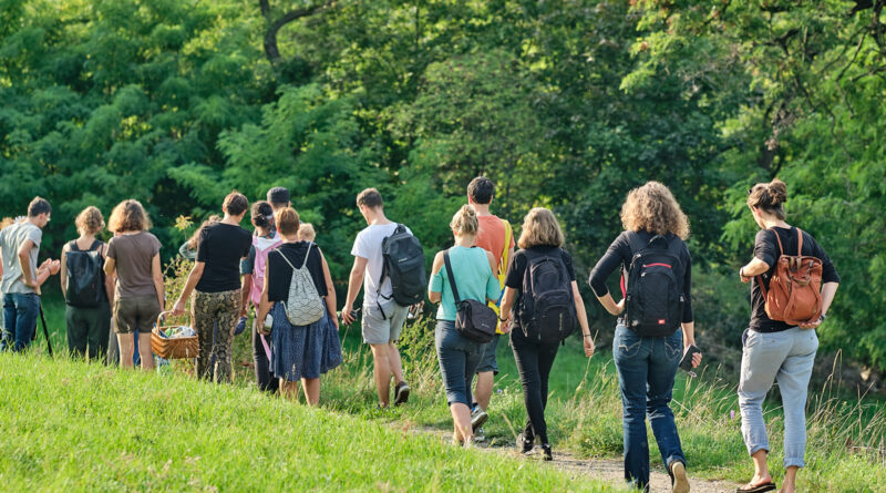 Wildkräuter- Touren 2022 in Kooperation mit dem Ernährungsrat