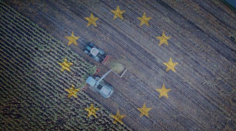 Farm-to-Fork Strategie: für ein nachhaltiges Ernährungssystem in Europa